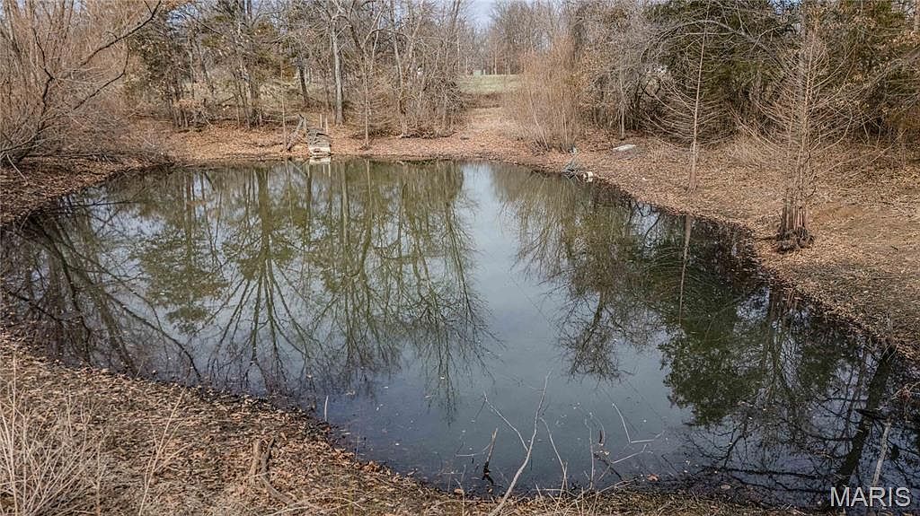 2783 Watson Rd Park Hills, MO 63601 - Thumbnail 4