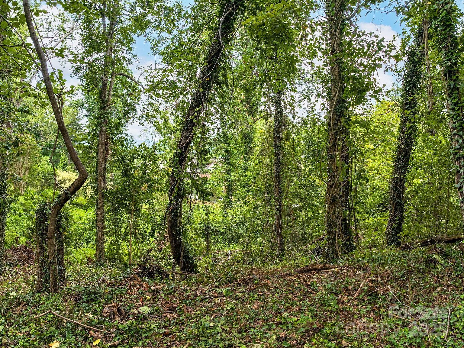 99999 Windsor Rd Asheville, NC 28804 - Thumbnail 4