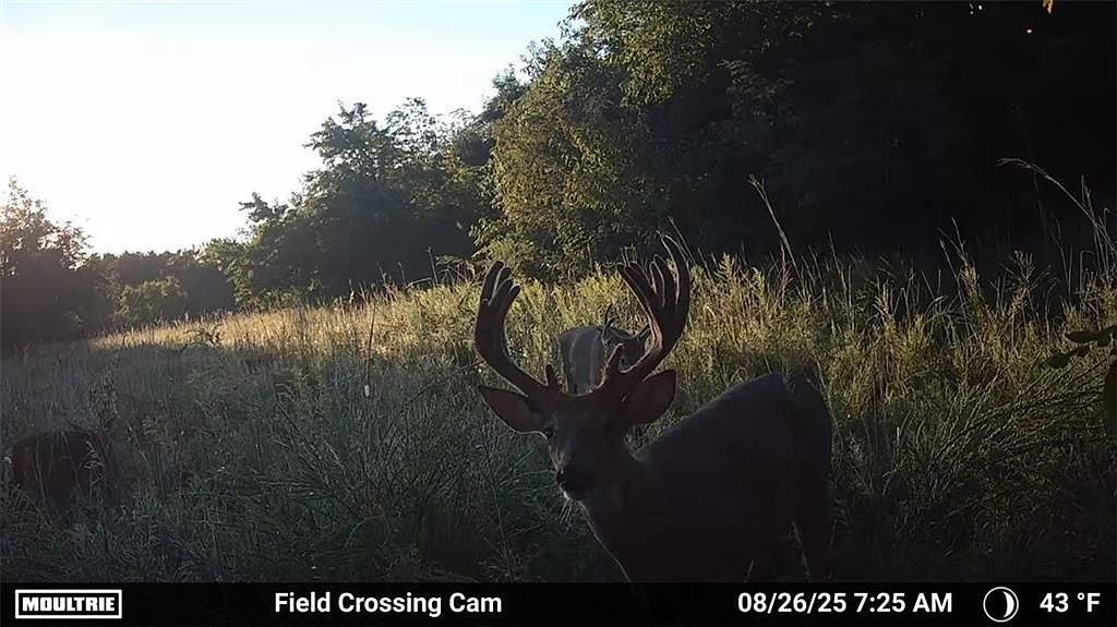 SE 700th Rd Kincaid, KS 66039 - Thumbnail 4