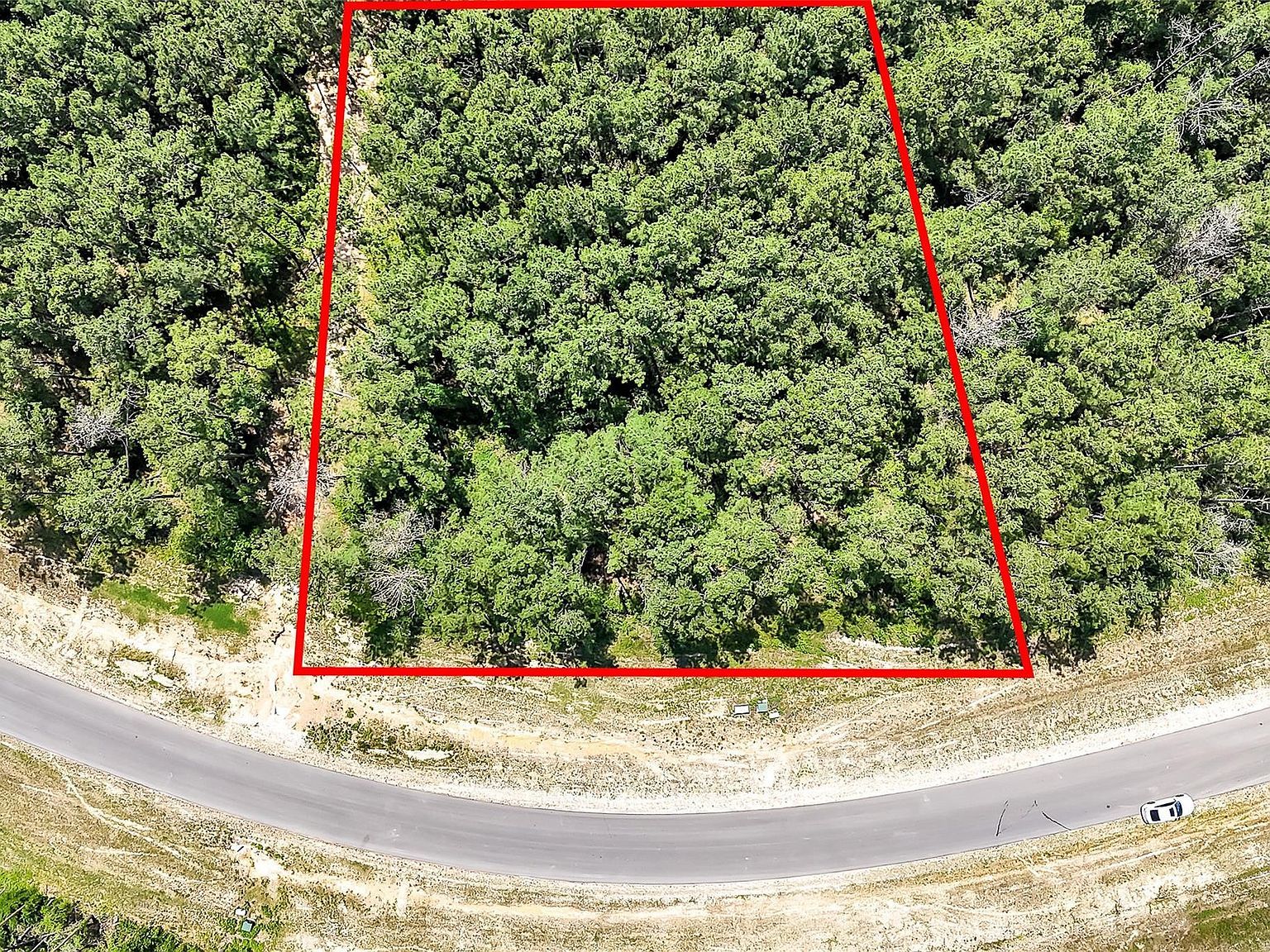 15469 Forest Grove Dr Willis, TX 77378 - Thumbnail 4