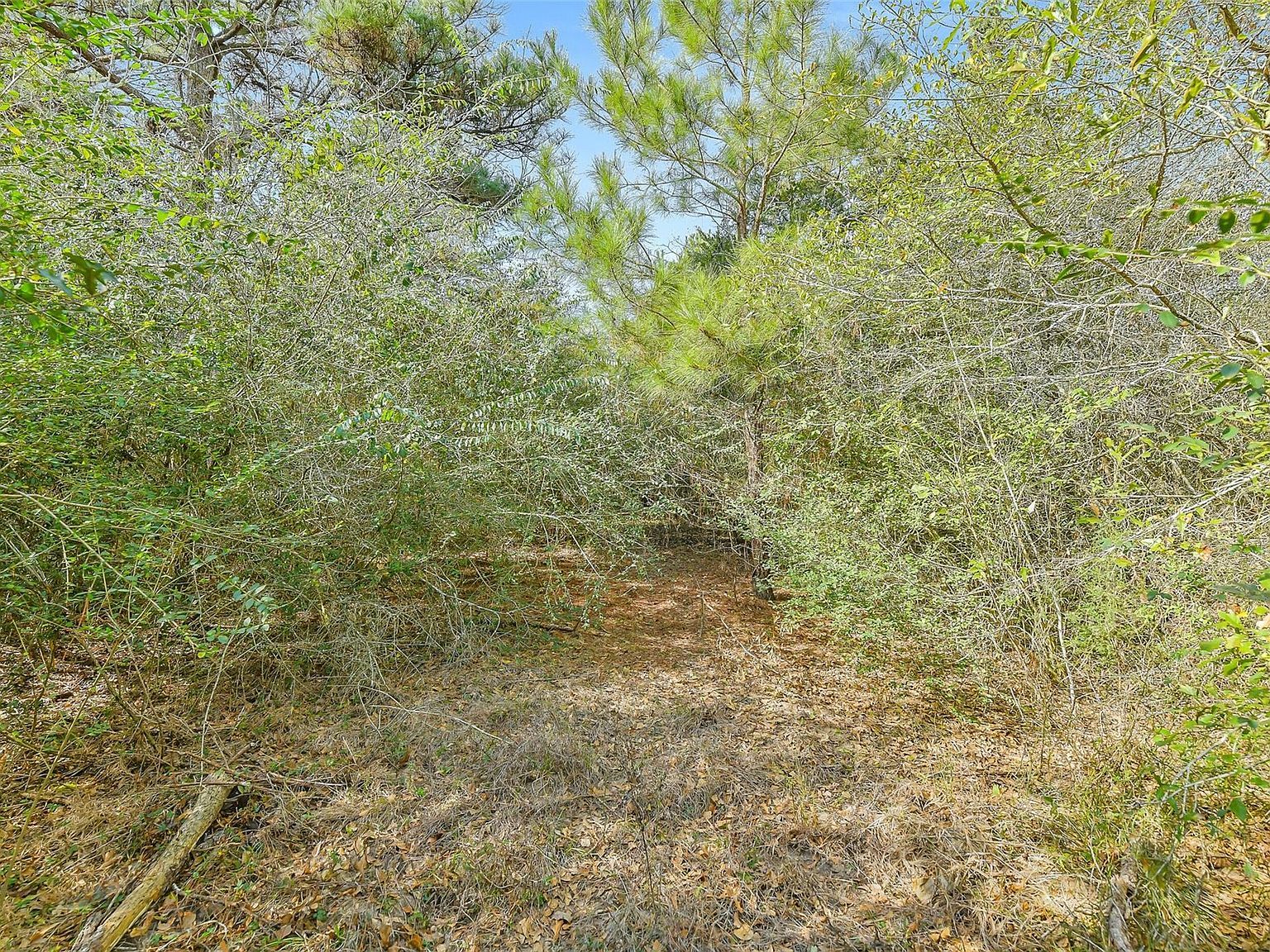 17625 Falcon Ln Hempstead, TX 77445 - Thumbnail 4