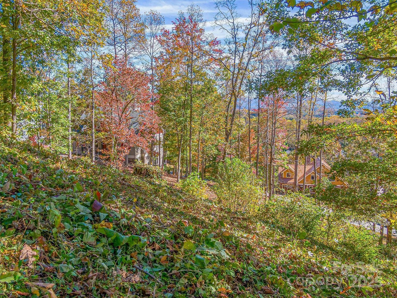 17 Denali Dr Asheville, NC 28806 - Thumbnail 4