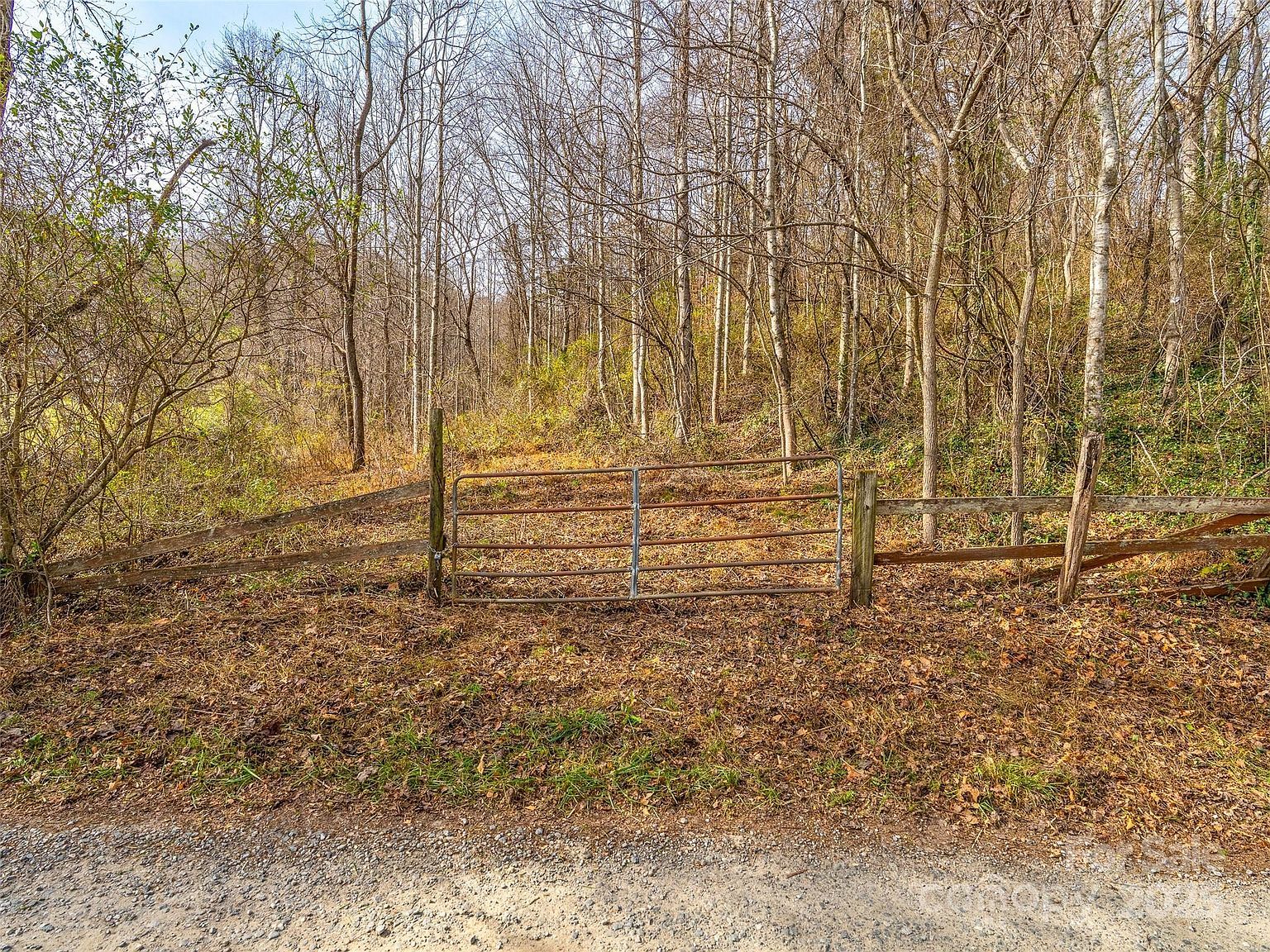 99999 Bay Horse Trl Candler, NC 28715 - Thumbnail 4