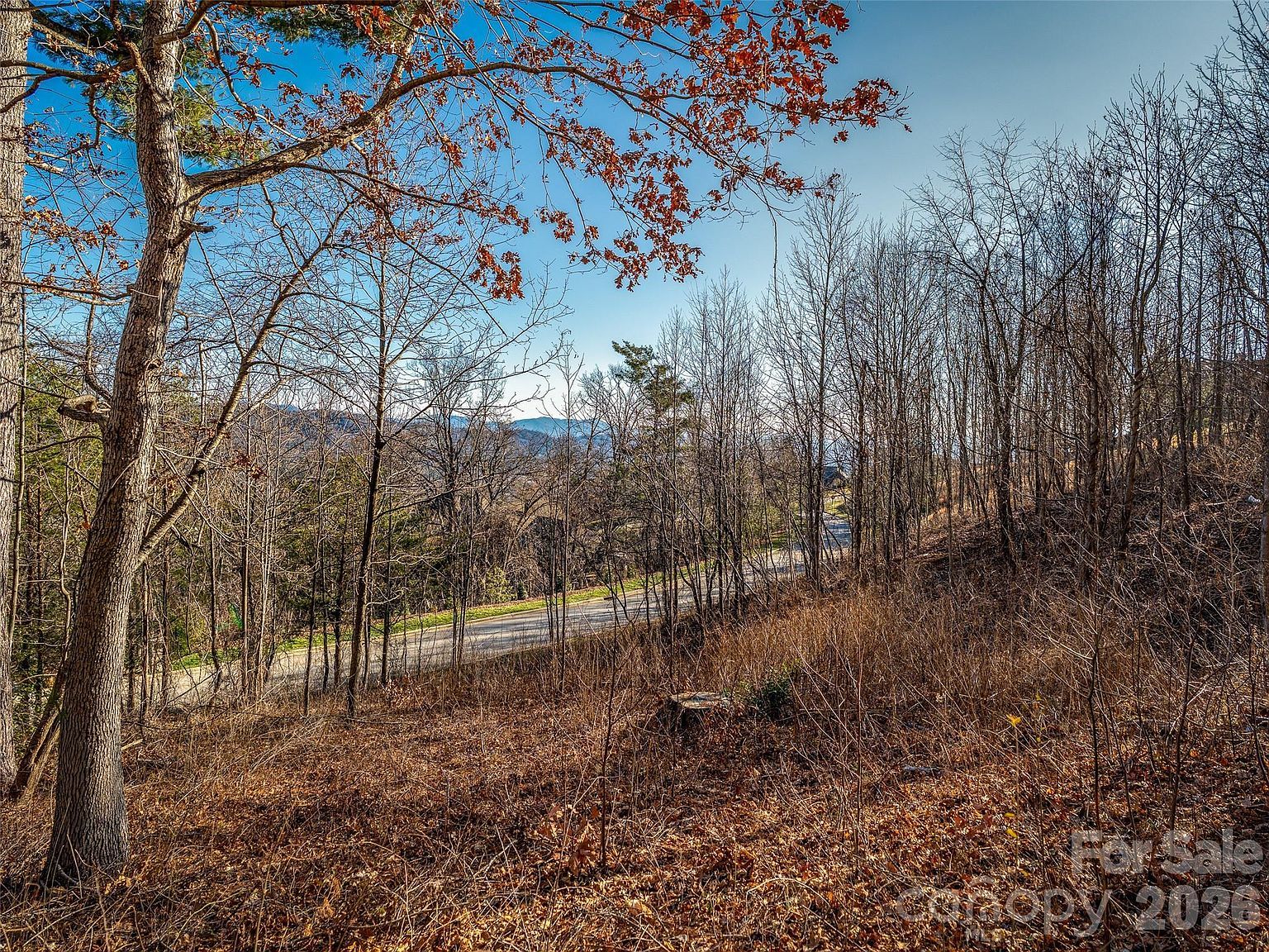 167 Summit Tower Cir #236 Asheville, NC 28804 - Thumbnail 4