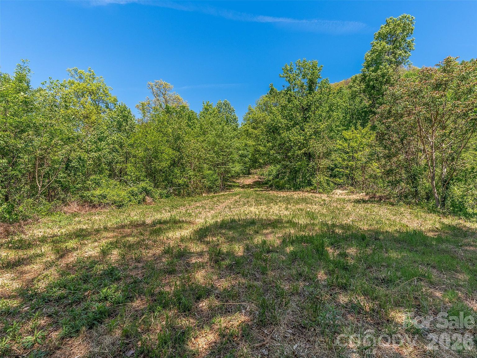 488 Warbler Ln Lot H-13 Black Mountain, NC 28711 - Thumbnail 4