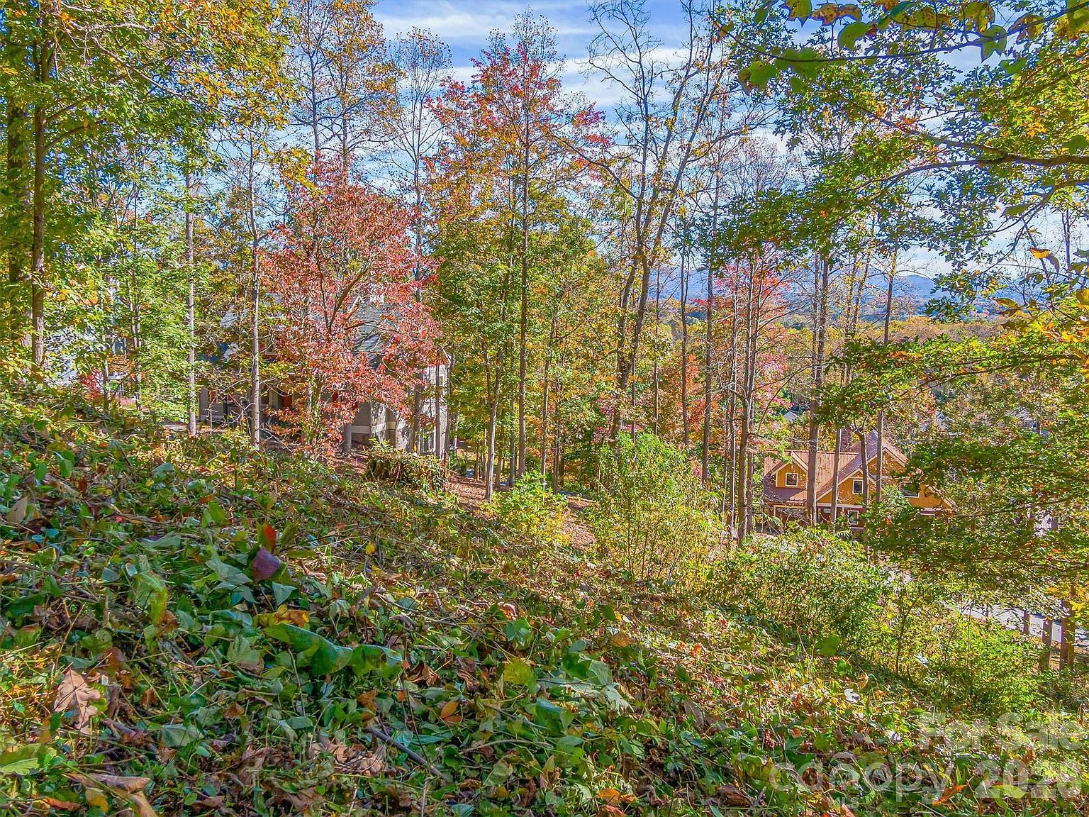 17 Denali Dr #V-108 Asheville, NC 28806 - Thumbnail 4