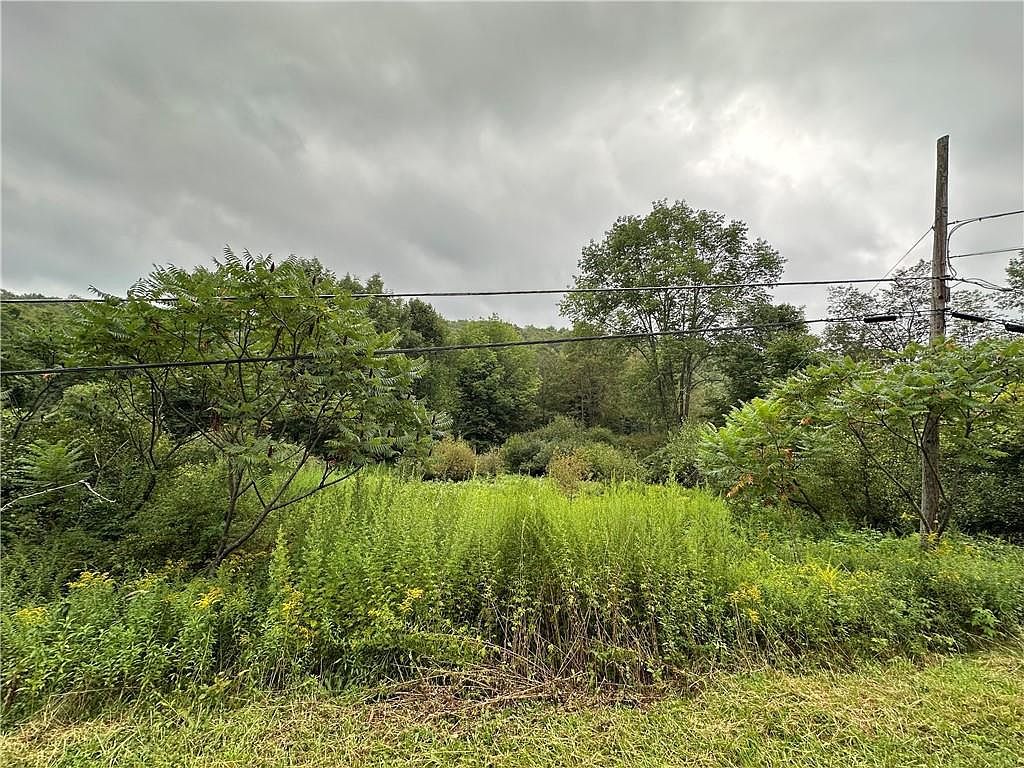 Shandelee Rd, Youngsville, NY, 12791 - Thumbnail 4