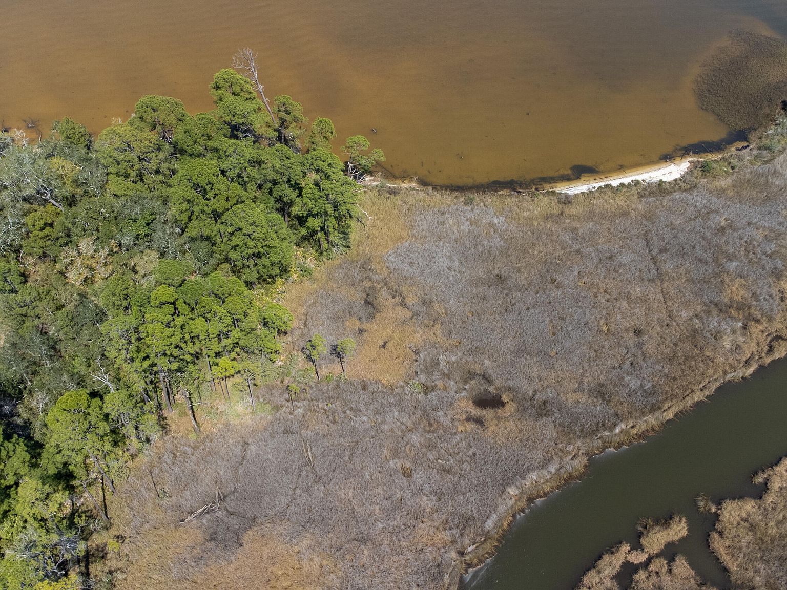 4 Bay Magnolia Ln Pt Washington, FL 32459 - Thumbnail 4