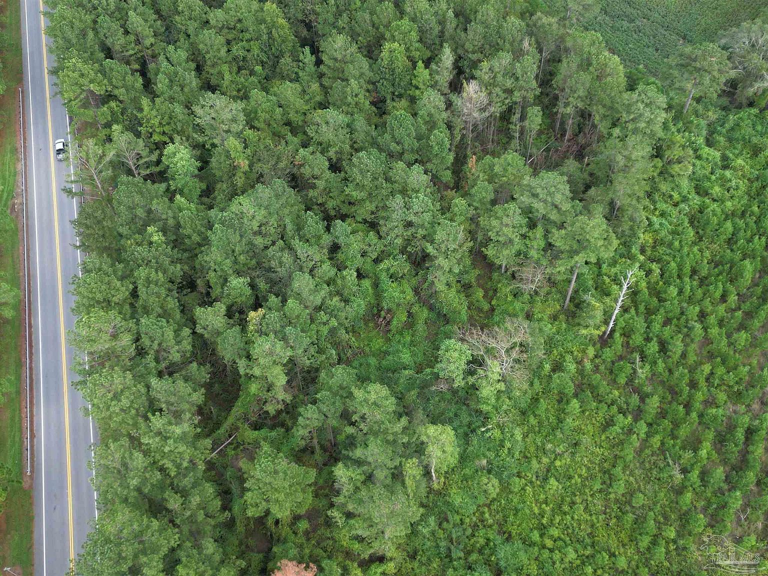 0 Highway 87 N Jay, FL 32565 - Thumbnail 4