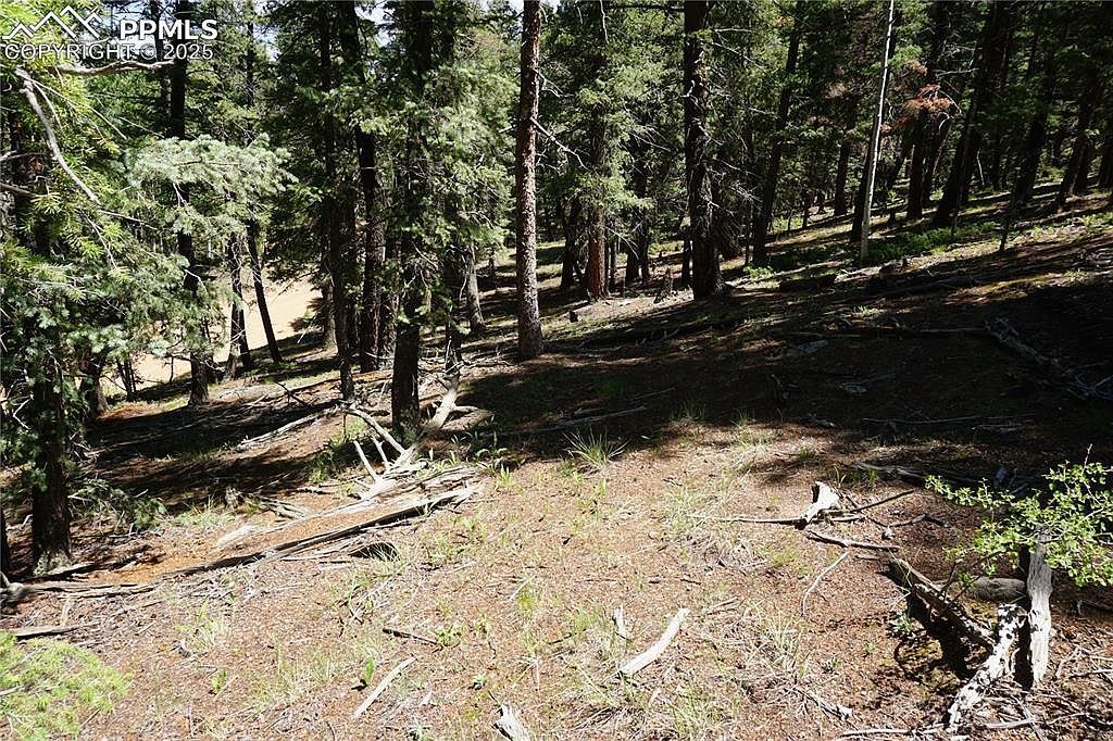 1000 Bennett Dr Cripple Creek, CO 80813 - Thumbnail 4