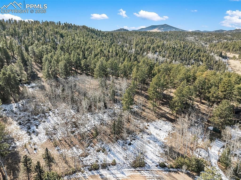 LOT 20 Echo Lake Dr Lake George, CO 80827 - Thumbnail 4