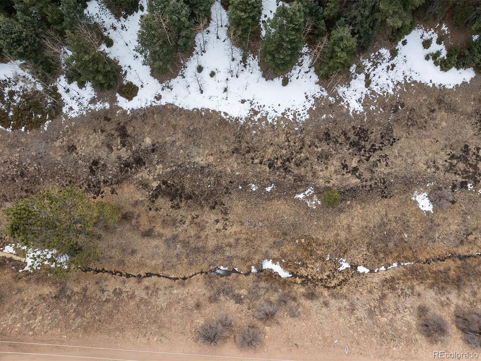 278 Penrose Cir Florissant, CO 80816 - Thumbnail 4