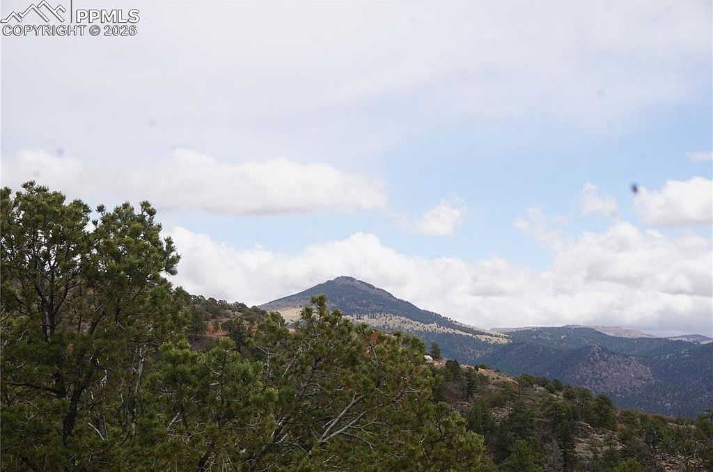 1893 Arapahoe Dr Florissant, CO 80816 - Thumbnail 4