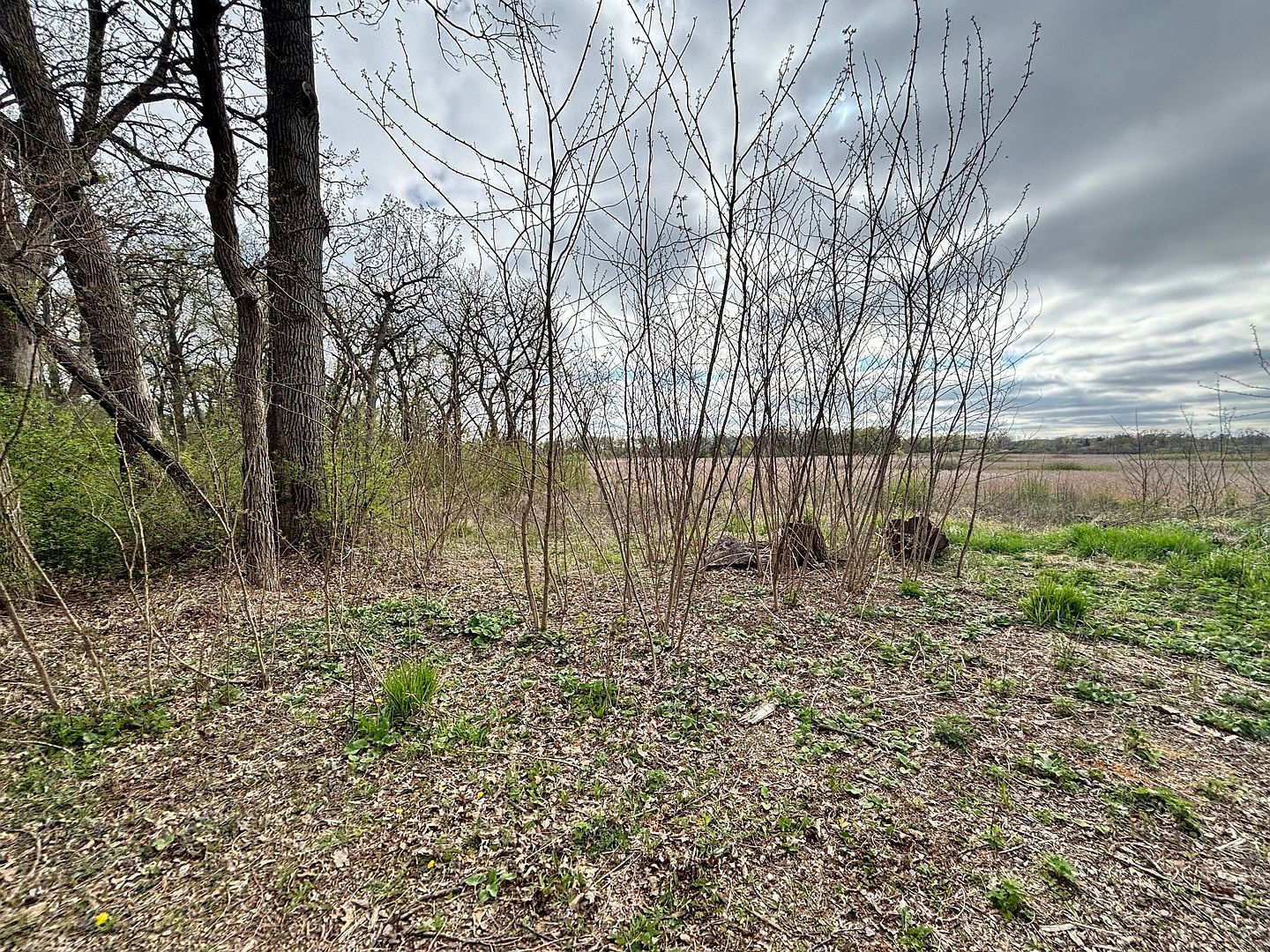 41092 N Deep Lake Rd Antioch, IL 60002 - Thumbnail 4