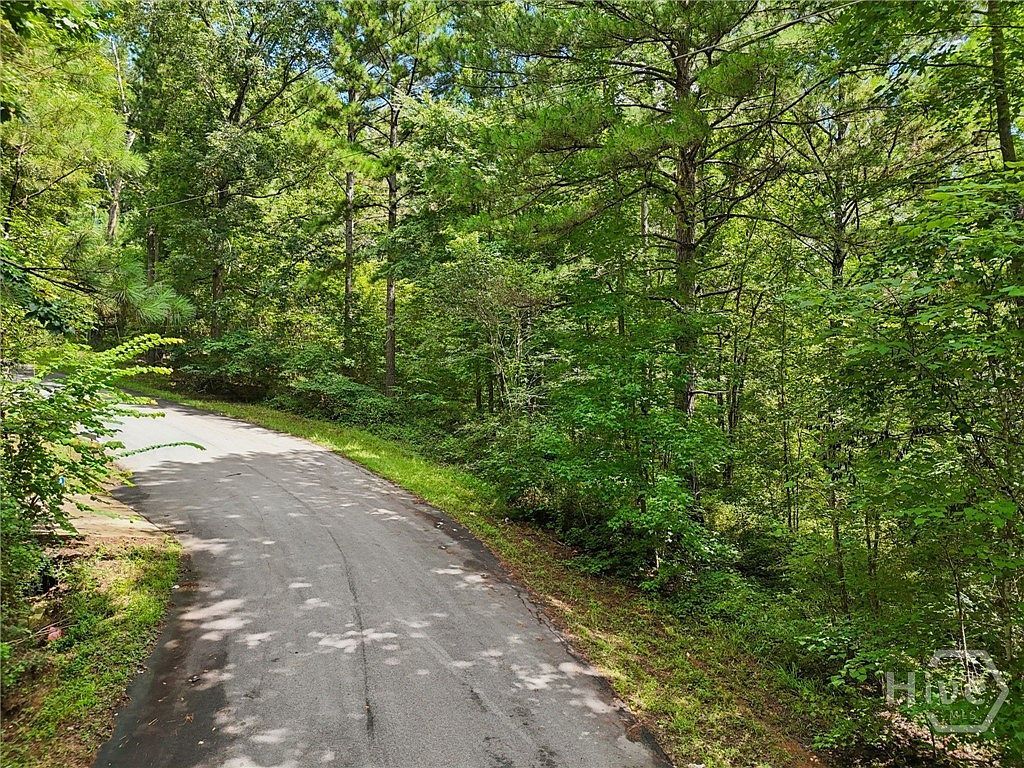 1040 Union Station Rd Greensboro, GA 30642 - Thumbnail 4