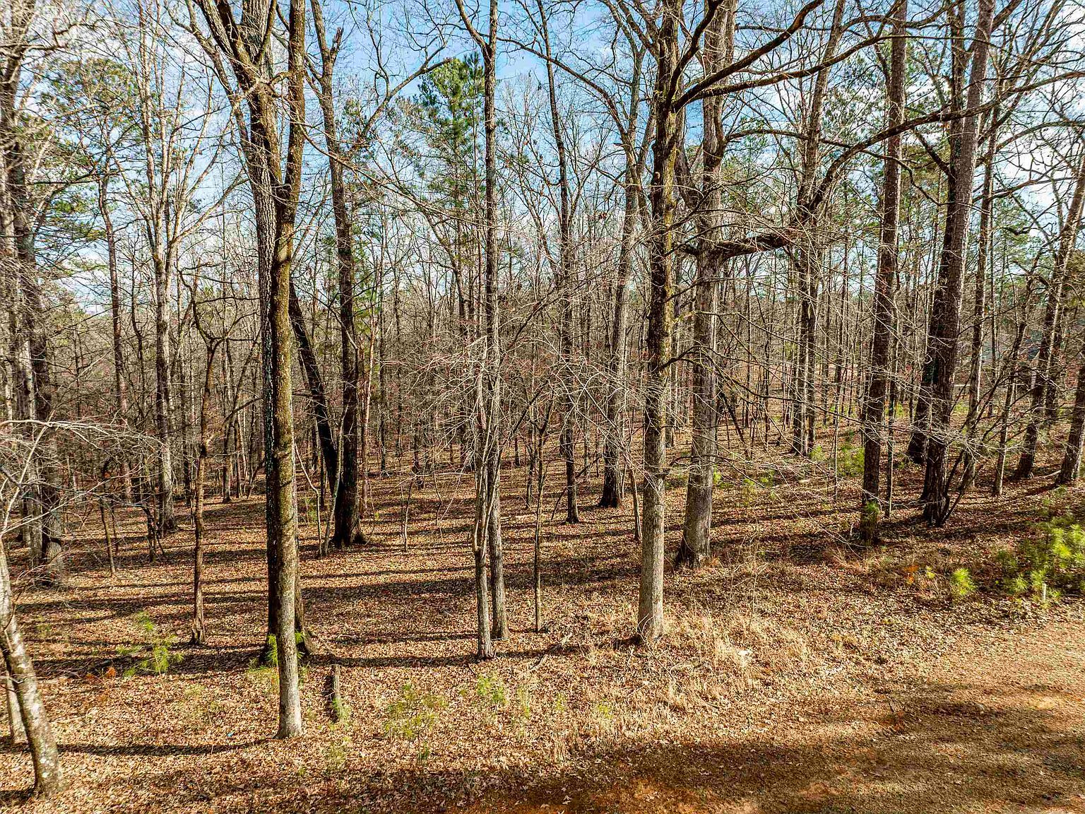 1021 Shadow Creek Way #1051 Greensboro, GA 30642 - Thumbnail 4