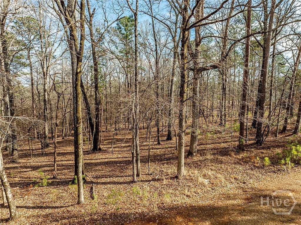 1021 Shadow Creek Way Greensboro, GA 30642 - Thumbnail 4