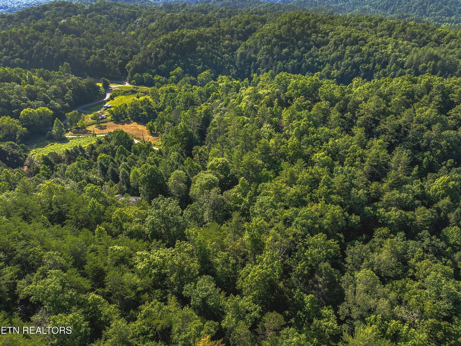 Yellow Breeches Rd Cosby, TN 37722 - Thumbnail 4