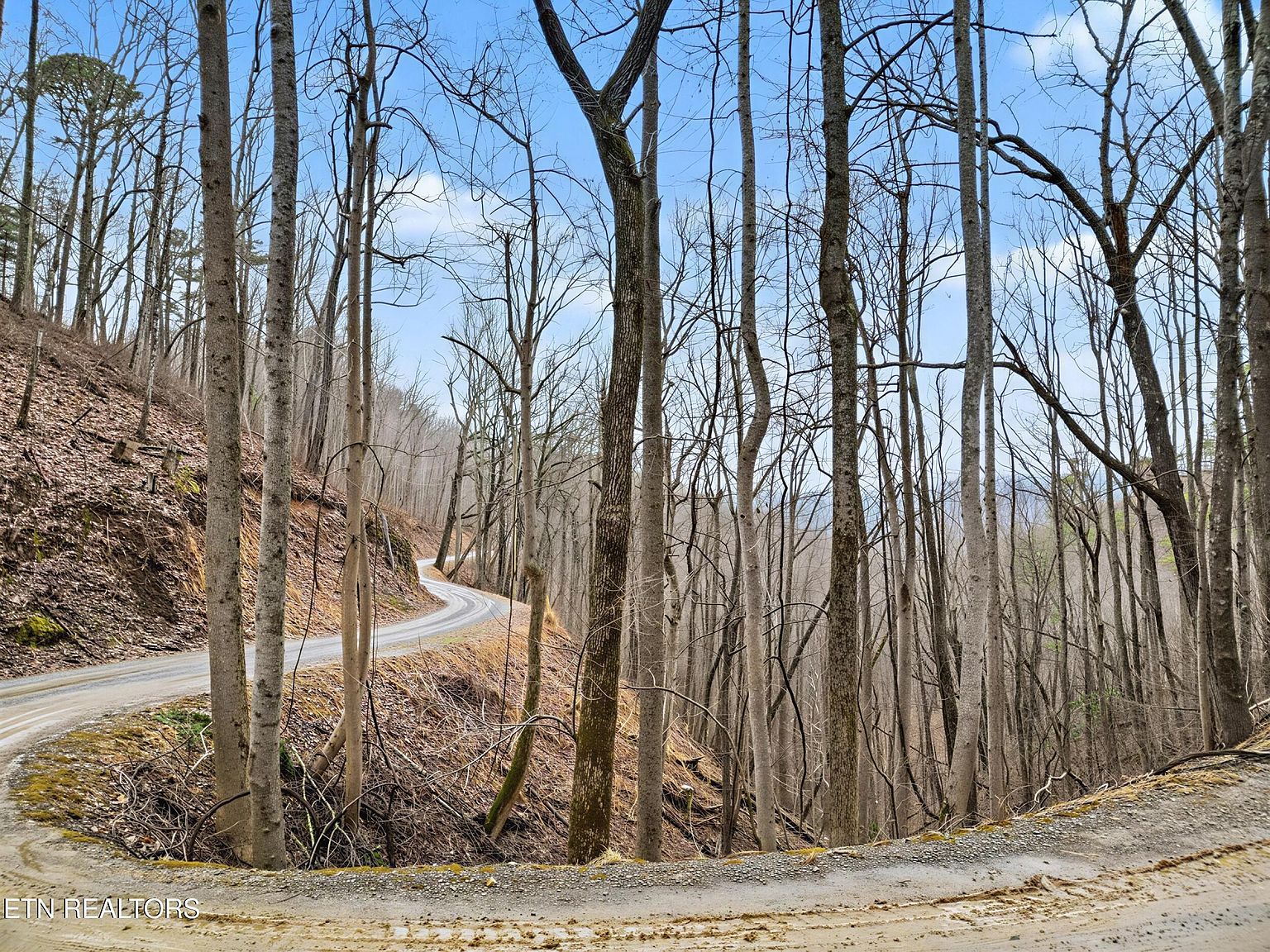 Sugar Maple Loop Rd Sevierville, TN 37862 - Thumbnail 4