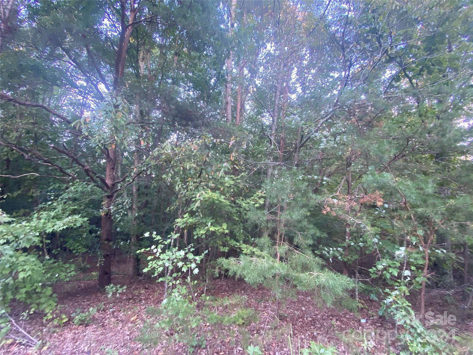 1301 Shadowfax Wynd #51 Hickory, NC 28602 - Thumbnail 4