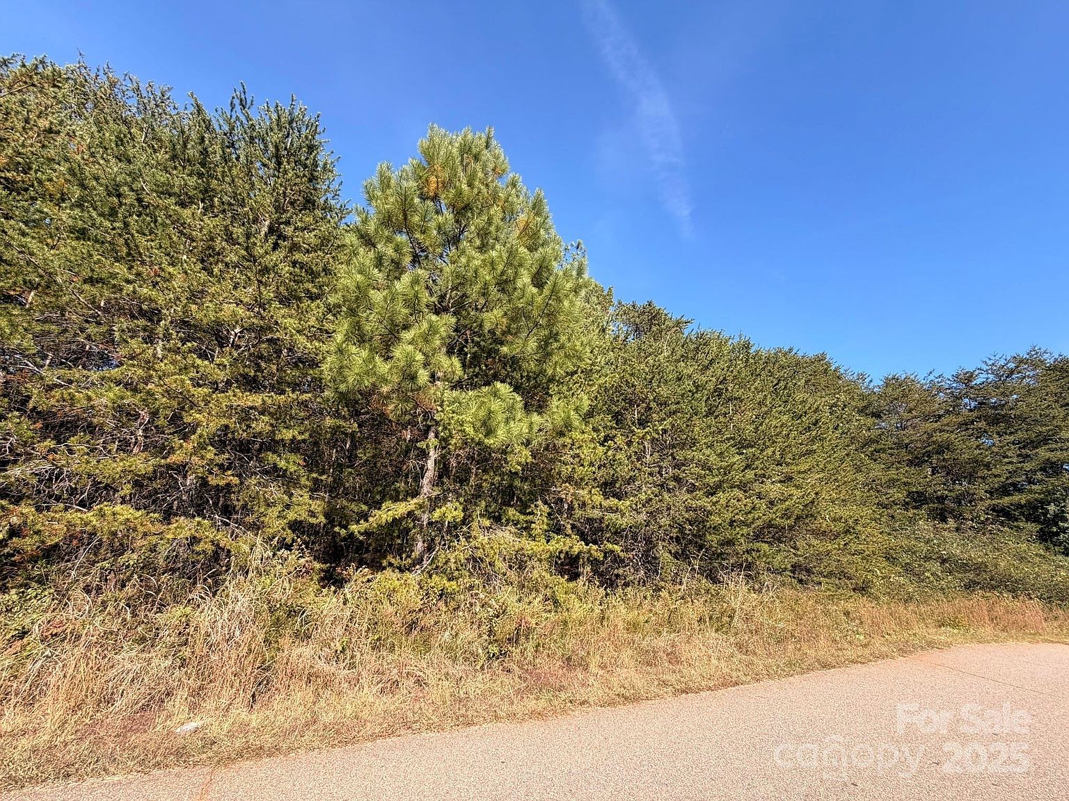 1953 Milton St #36 Newton, NC 28658 - Thumbnail 4