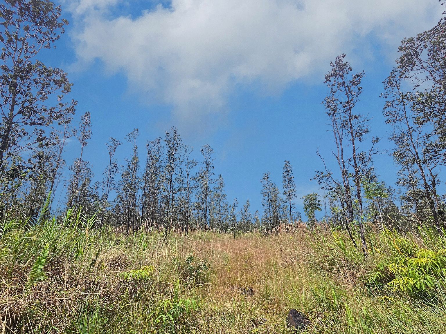 Road 9 Koloa Maoli Lot 5437 Kurtistown, HI 96760 - Thumbnail 4