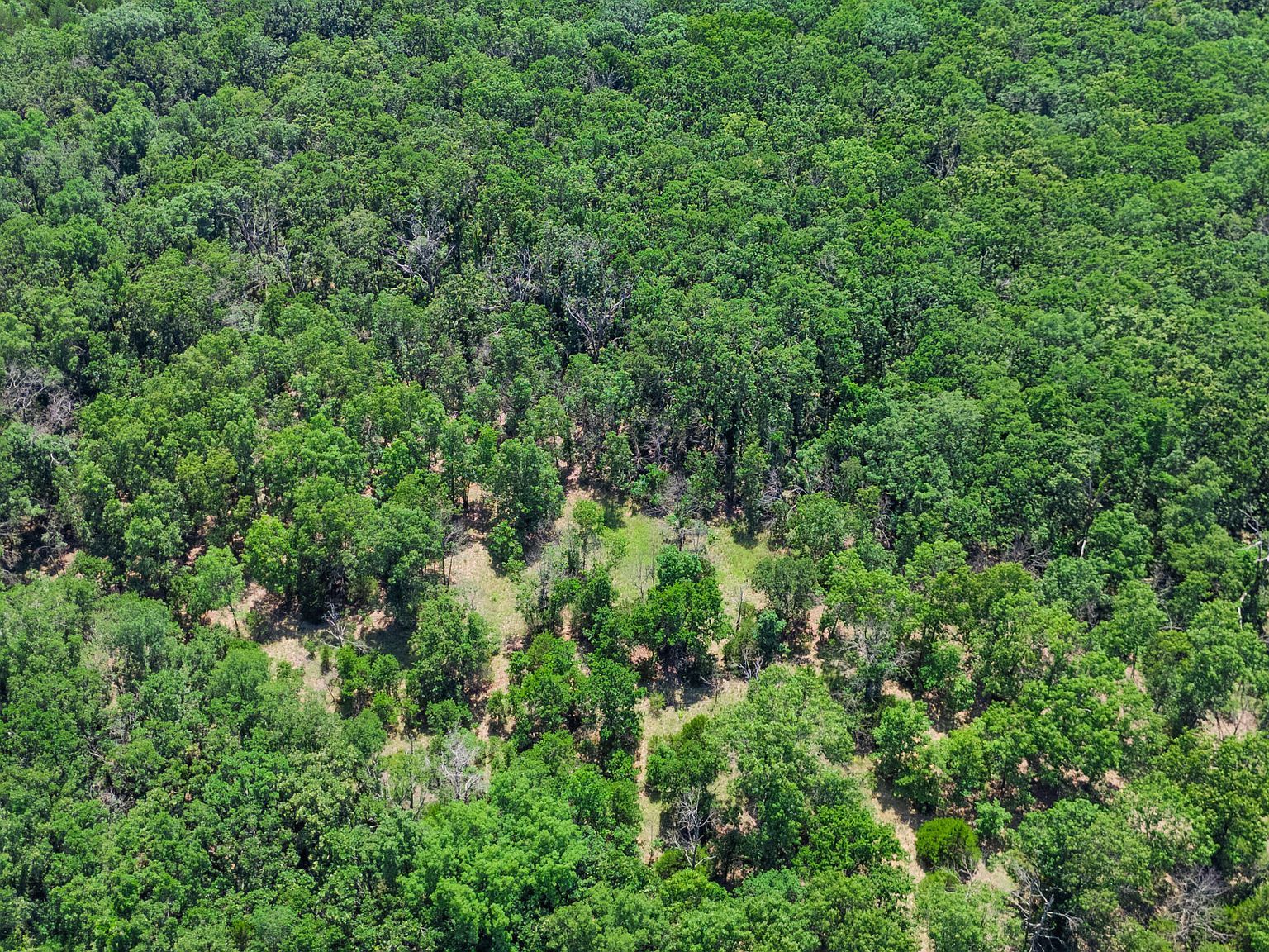 20476 E 1700th Rd Fair Play, MO 65649 - Thumbnail 4