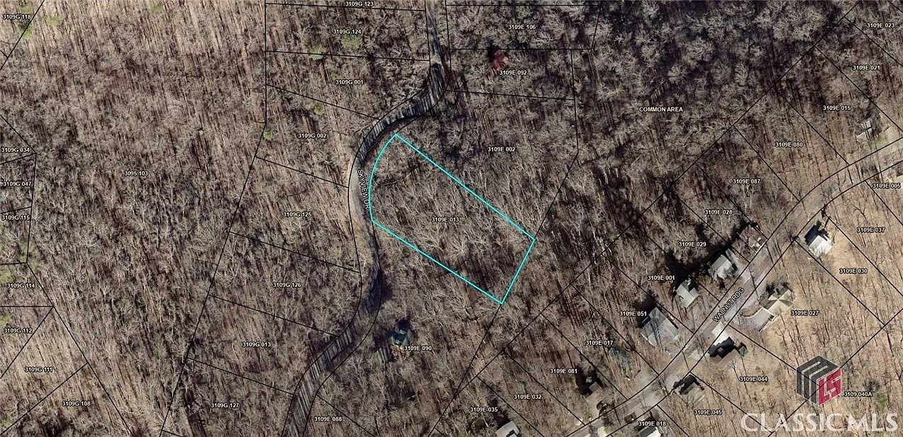 0 Skyview Dr Ellijay, GA 30536 - Thumbnail 4