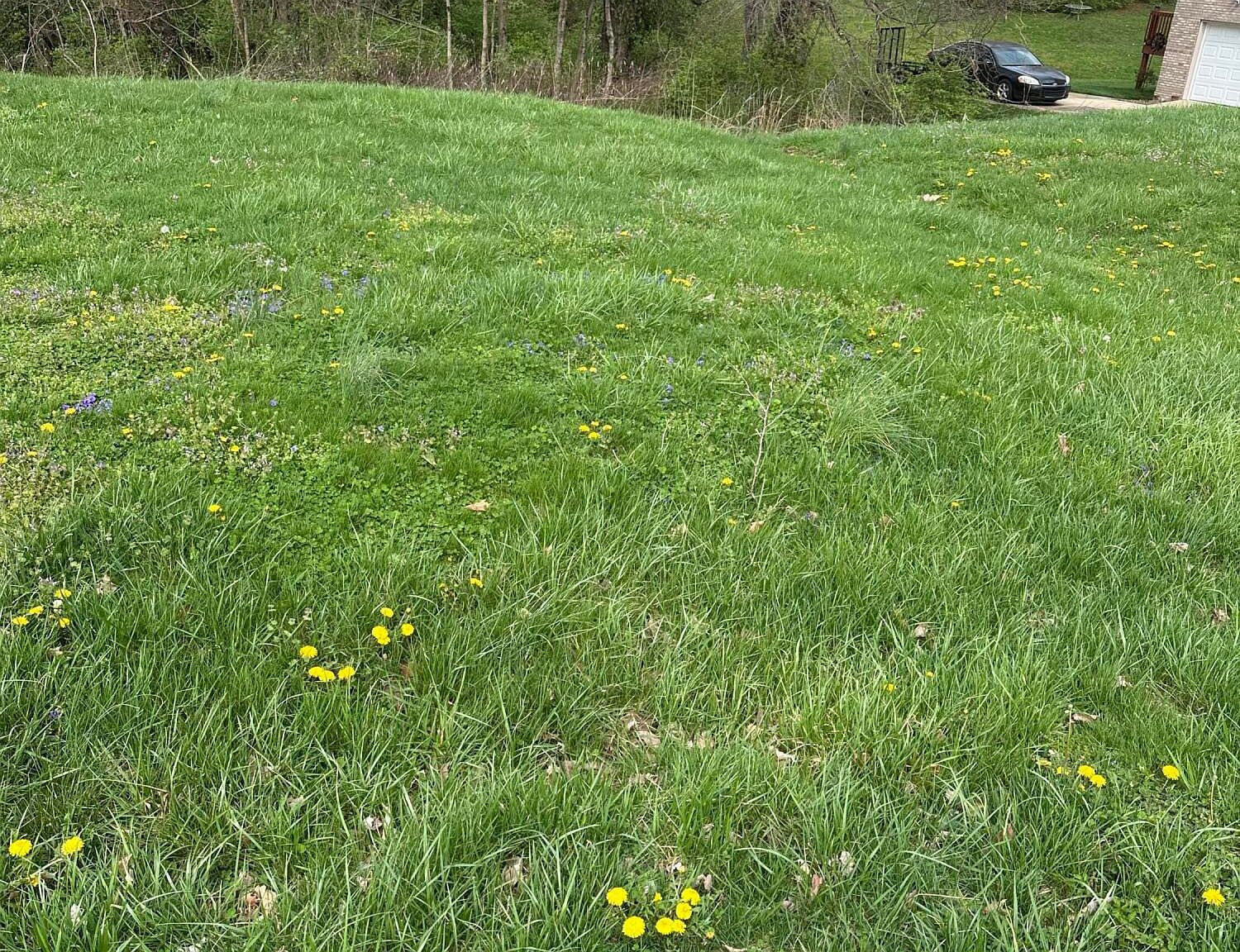 916 Woods Run Rd Bardstown, KY 40004 - Thumbnail 4