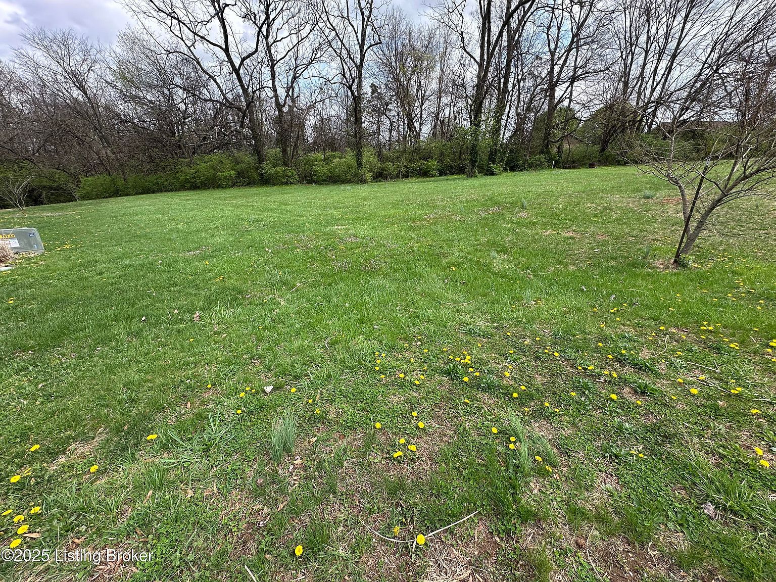 926 Woods Run Rd, Bardstown, KY, 40004 - Thumbnail 4