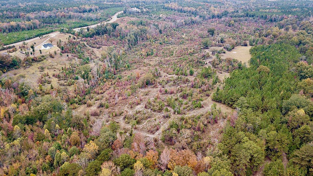 0 Battle Rd Hurtsboro, AL 36860 - Thumbnail 4