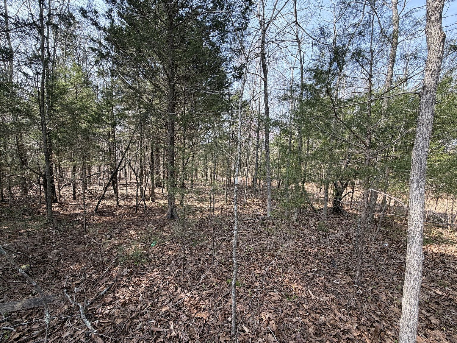 0 Ramery Rd Cumberland City, TN 37050 - Thumbnail 4