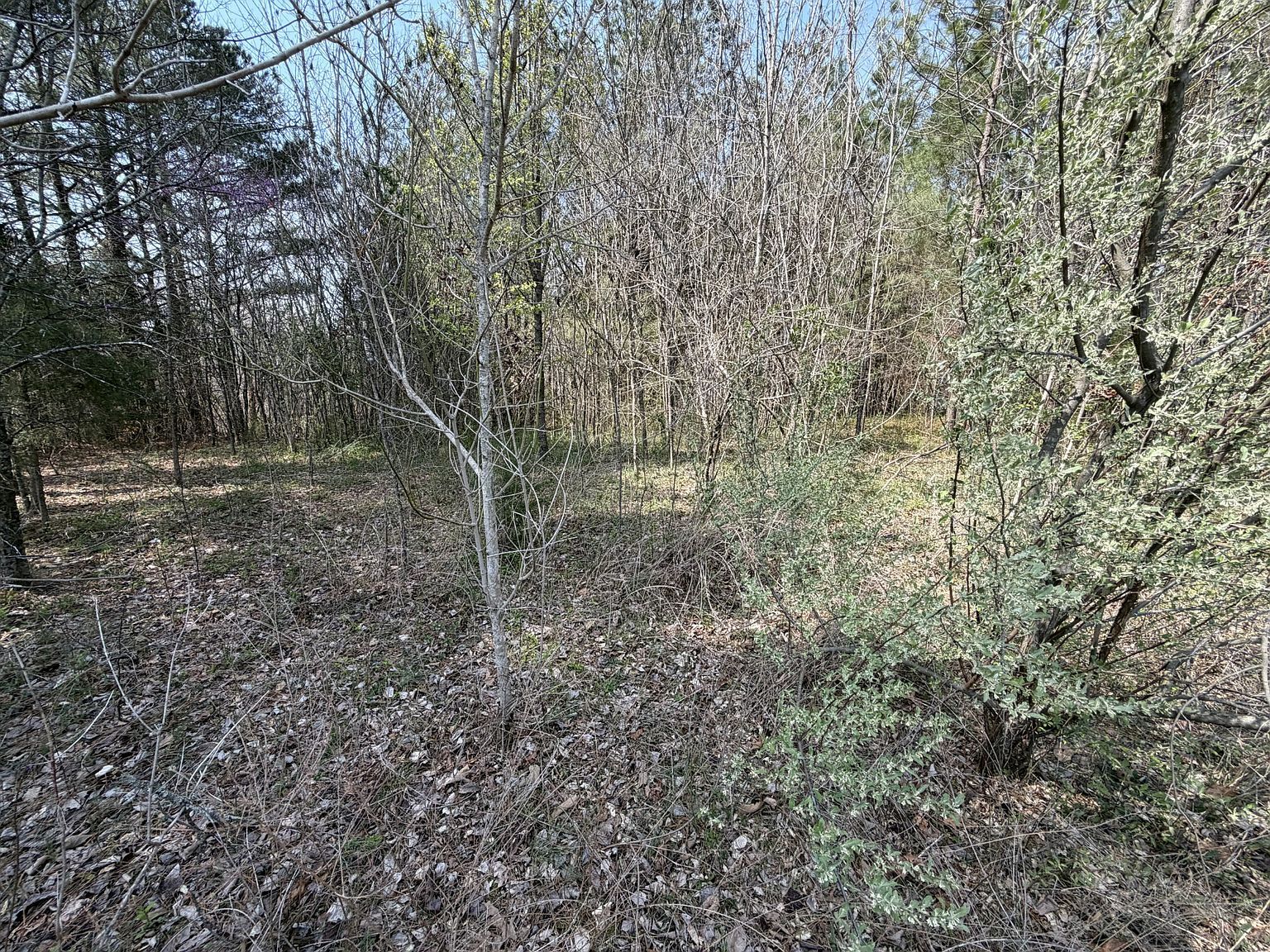 5106 Workman Rd Southside, TN 37171 - Thumbnail 4
