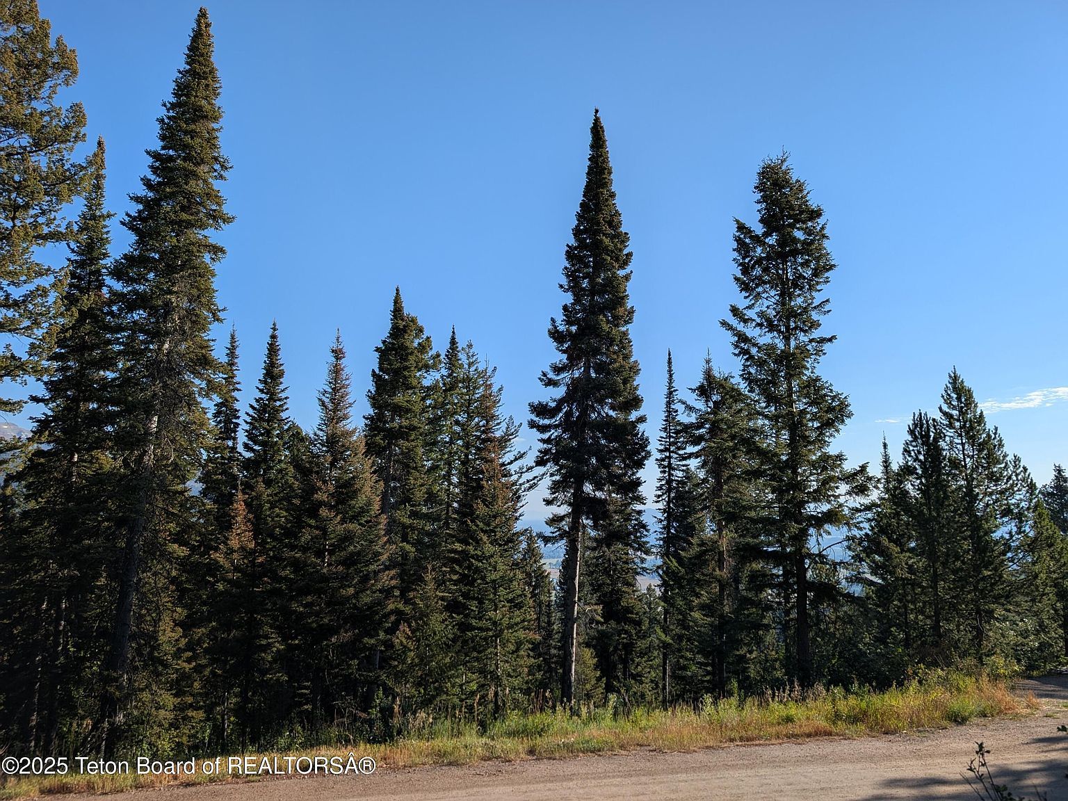 6765 W Lupine Trl Wilson, WY 83014 - Thumbnail 4