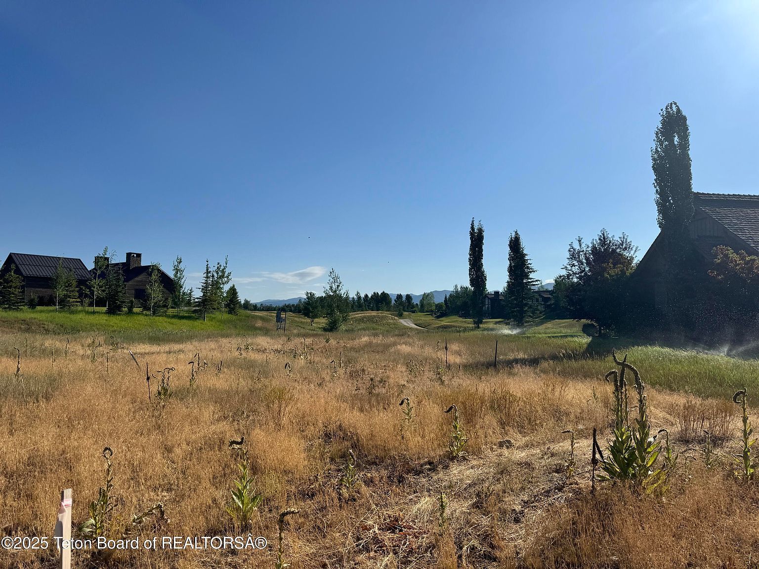 910 Dusty Maiden Ct Driggs, ID 83422 - Thumbnail 4