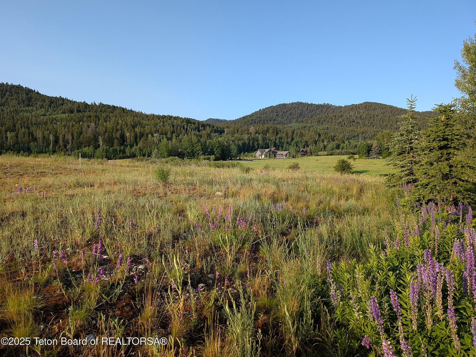 57 Warm Creek Ln Victor, ID 83455 - Thumbnail 4