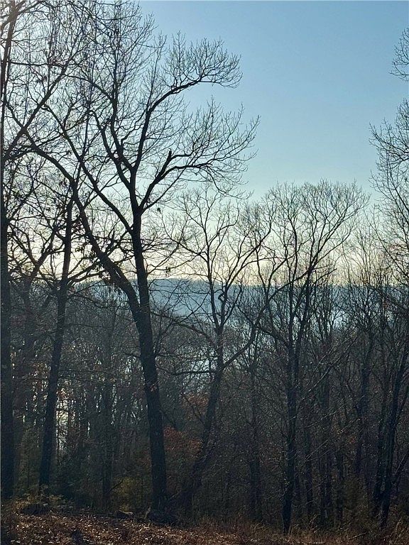 1 Cobblestone Ln #1 Eureka Springs, AR 72631 - Thumbnail 4