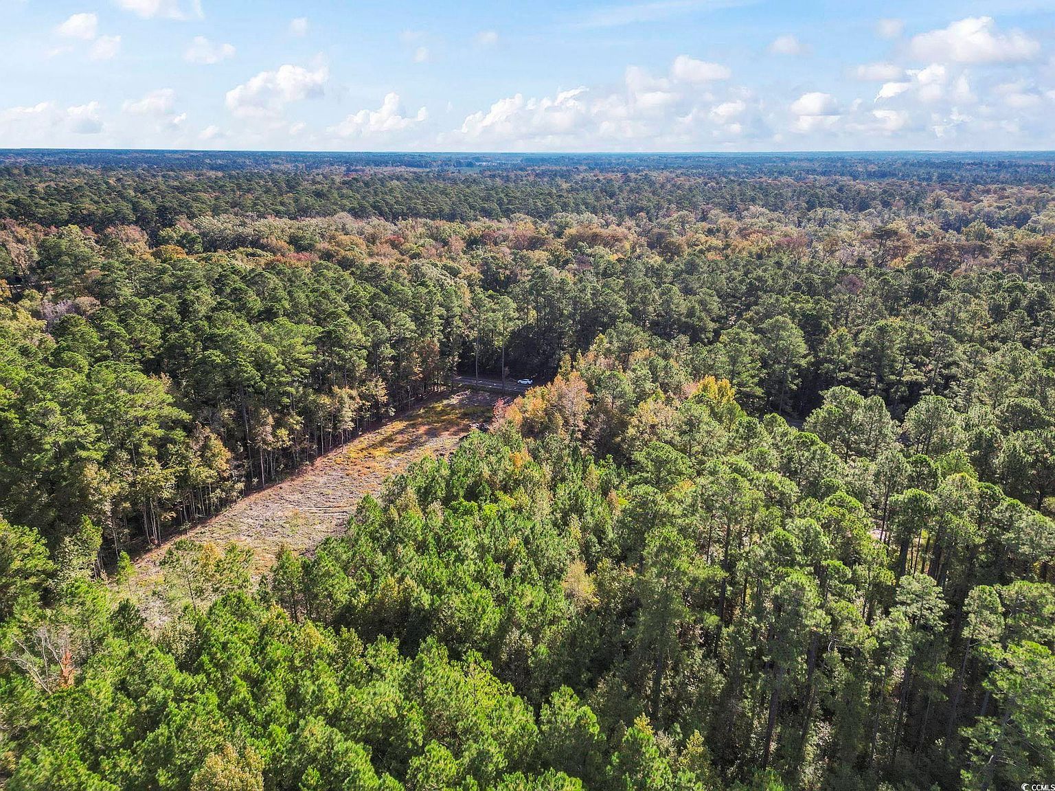 Tbd Long Avenue Ext Conway, SC 29526 - Thumbnail 4