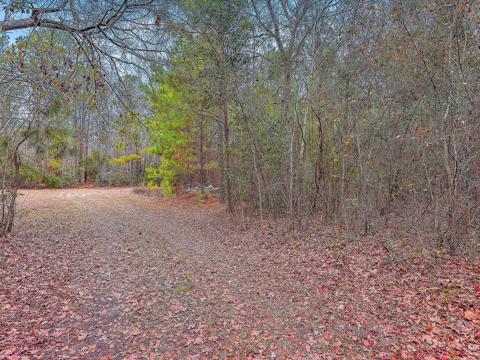 9470 Old State Rd Holly Hill, SC 29059 - Thumbnail 4