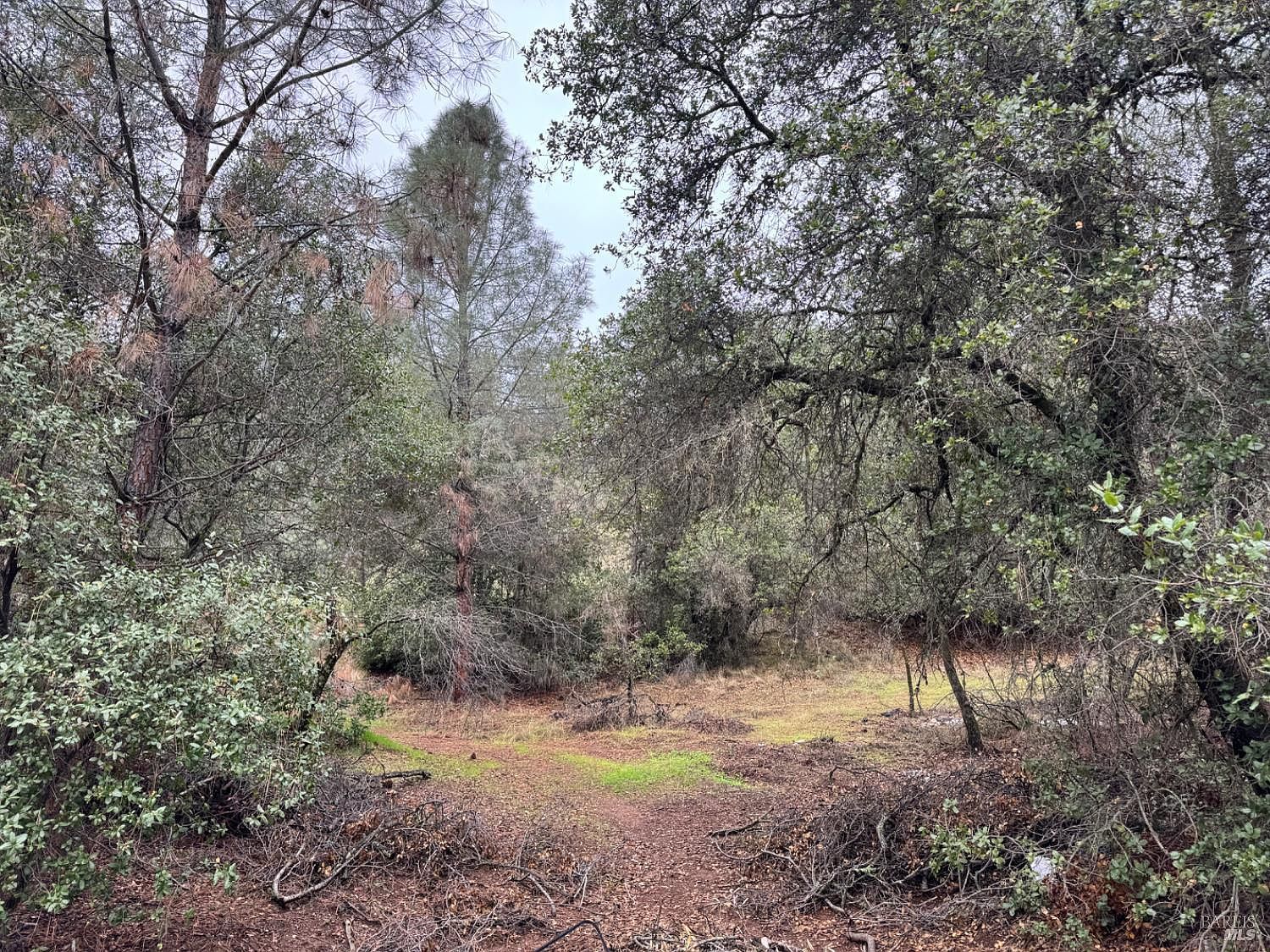 12332 Mountain View Dr Clearlake Oaks, CA 95423 - Thumbnail 4