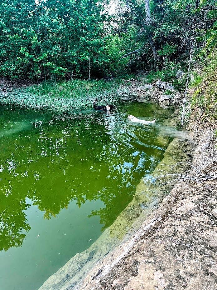 1930 S Rainbow Ranch Rd Wimberley, TX 78676 - Thumbnail 4