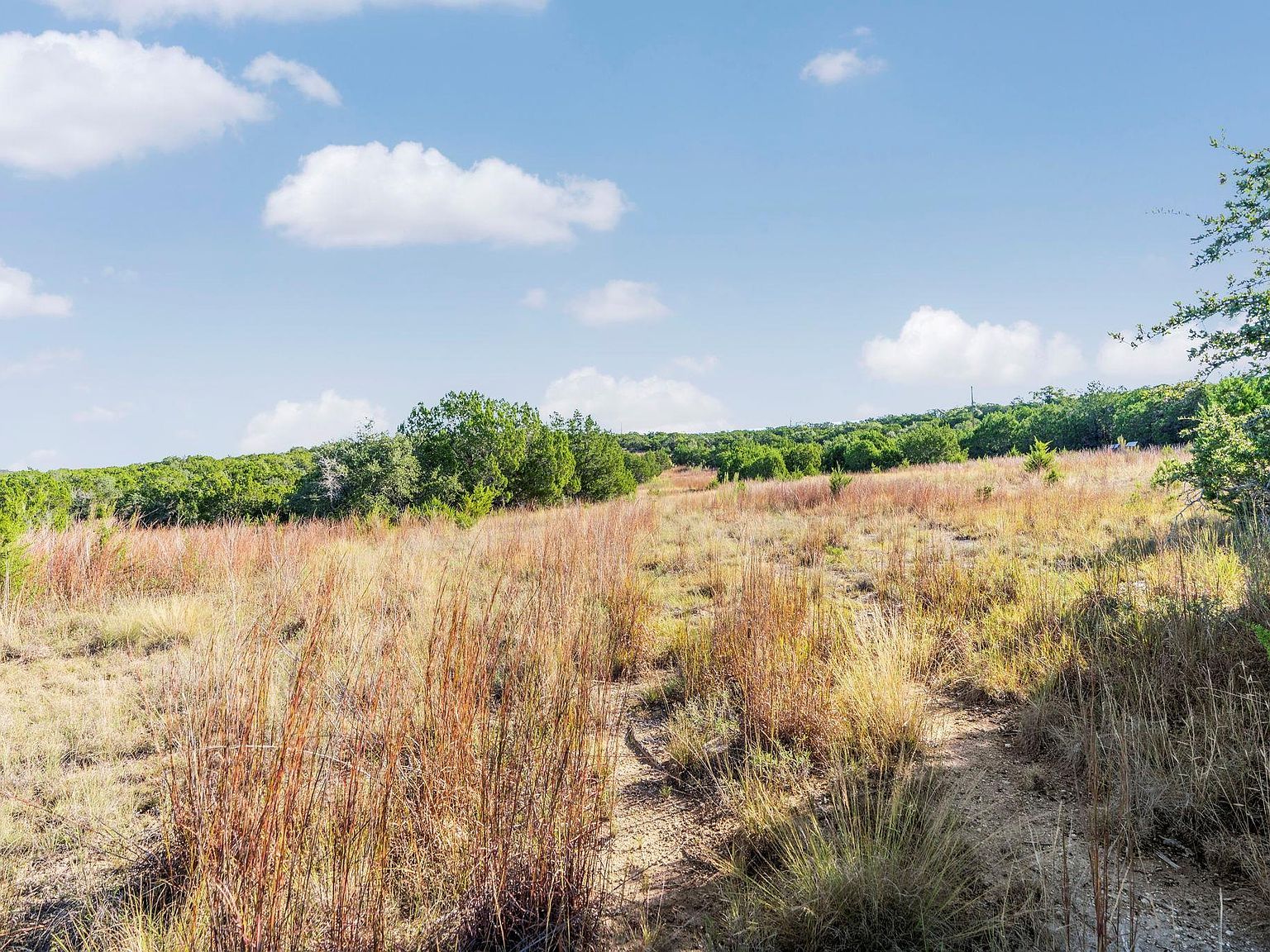 2021 Stagecoach Ranch Rd Dripping Springs, TX 78620 - Thumbnail 4