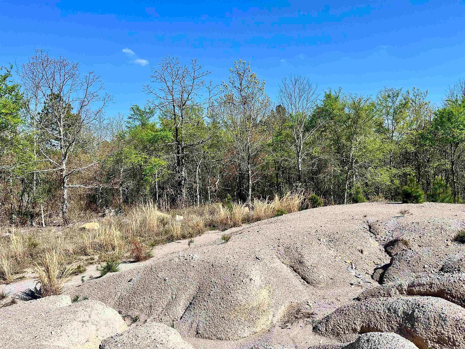 4664 E Grand Ave Hot Springs National Park, AR 71901 - Thumbnail 4