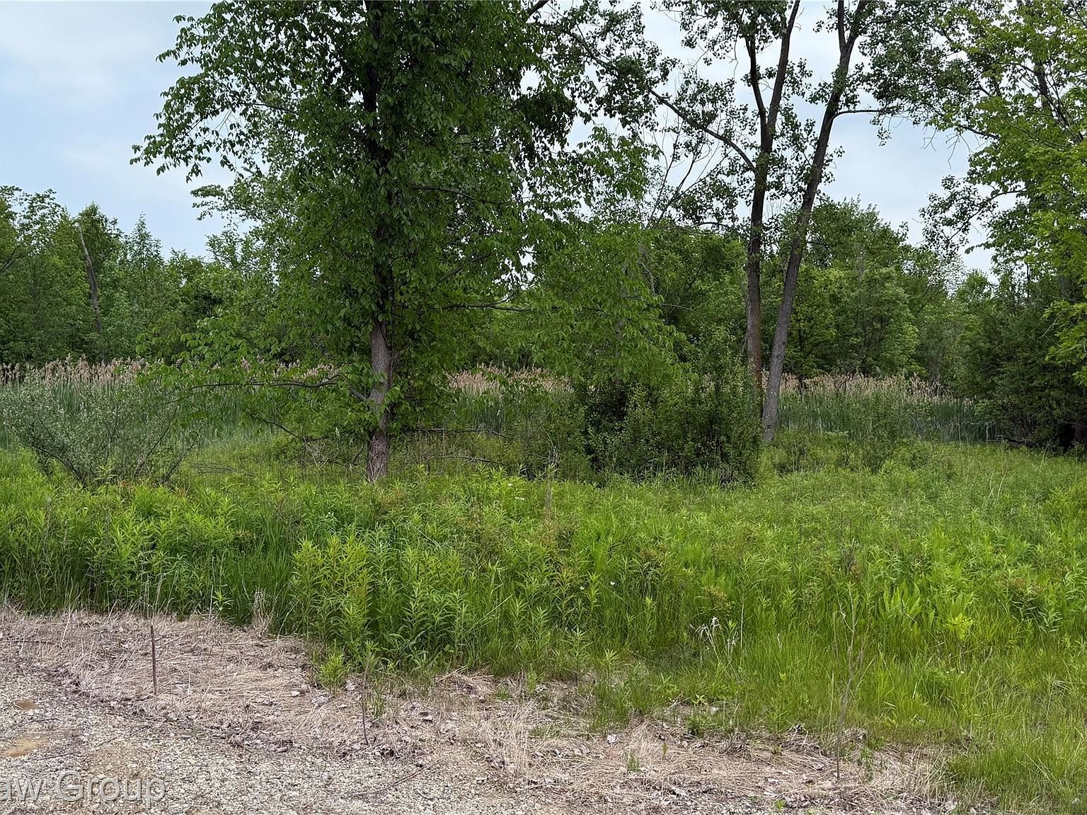 10696 Dunnigan Rd Emmett, MI 48022 - Thumbnail 4