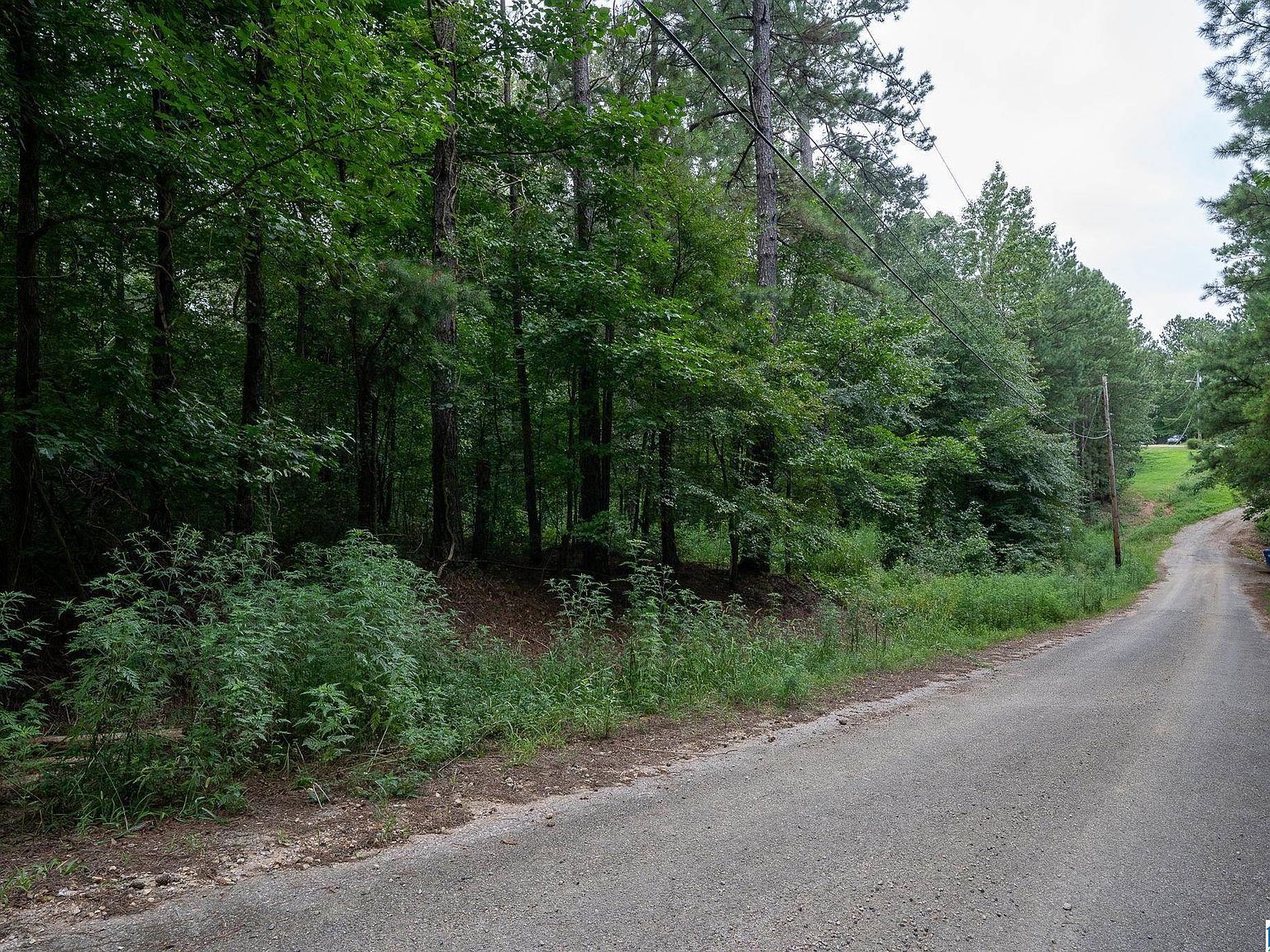 0 Penny Ln #1 Odenville, AL 35120 - Thumbnail 4