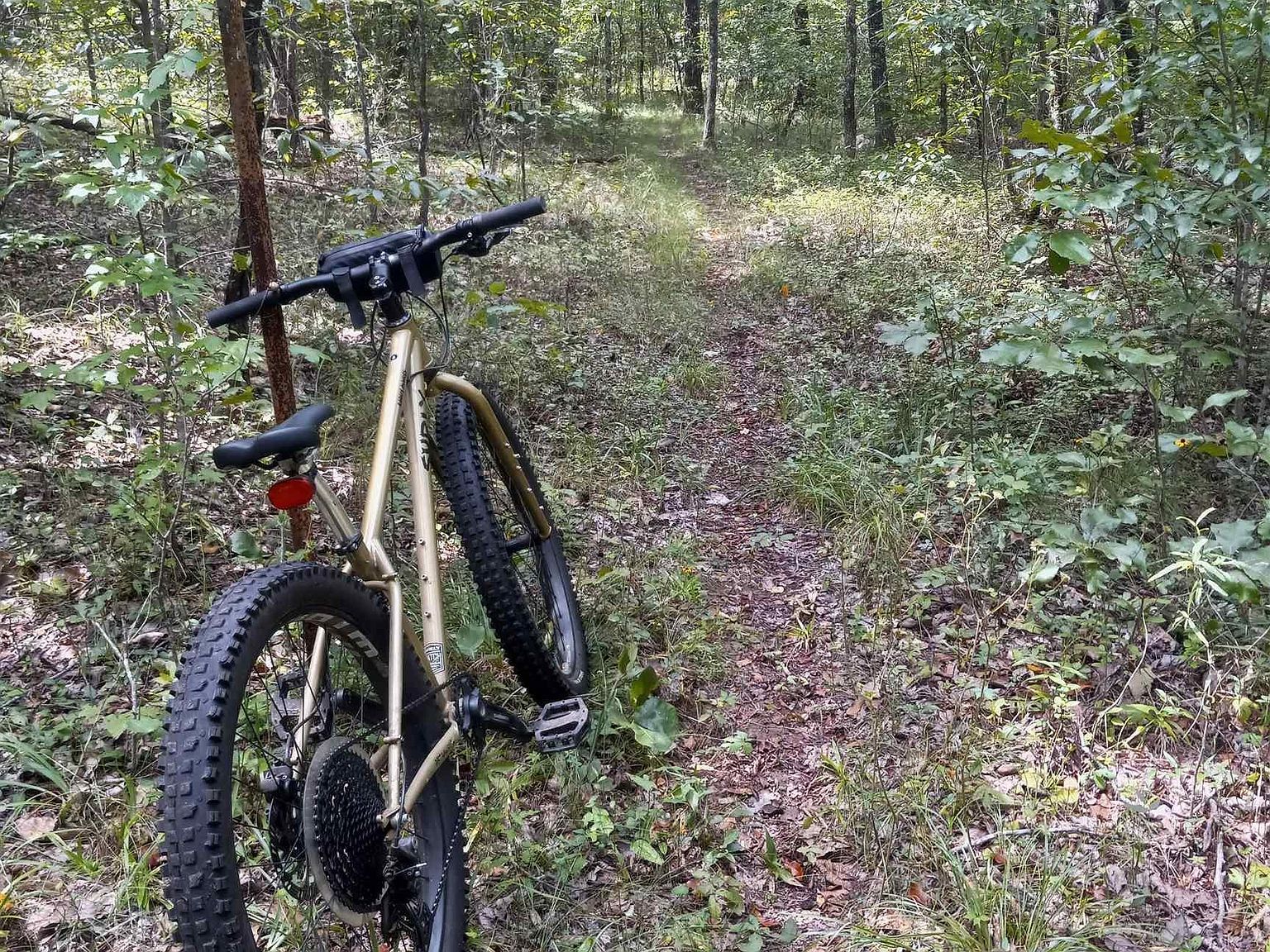 0 Kanasita Dr #1 Pell City, AL 35128 - Thumbnail 4