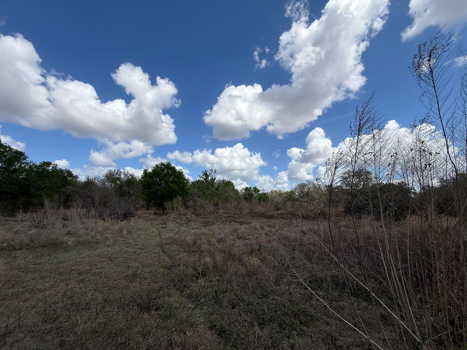 19571 262nd St Okeechobee, FL 34972 - Thumbnail 4