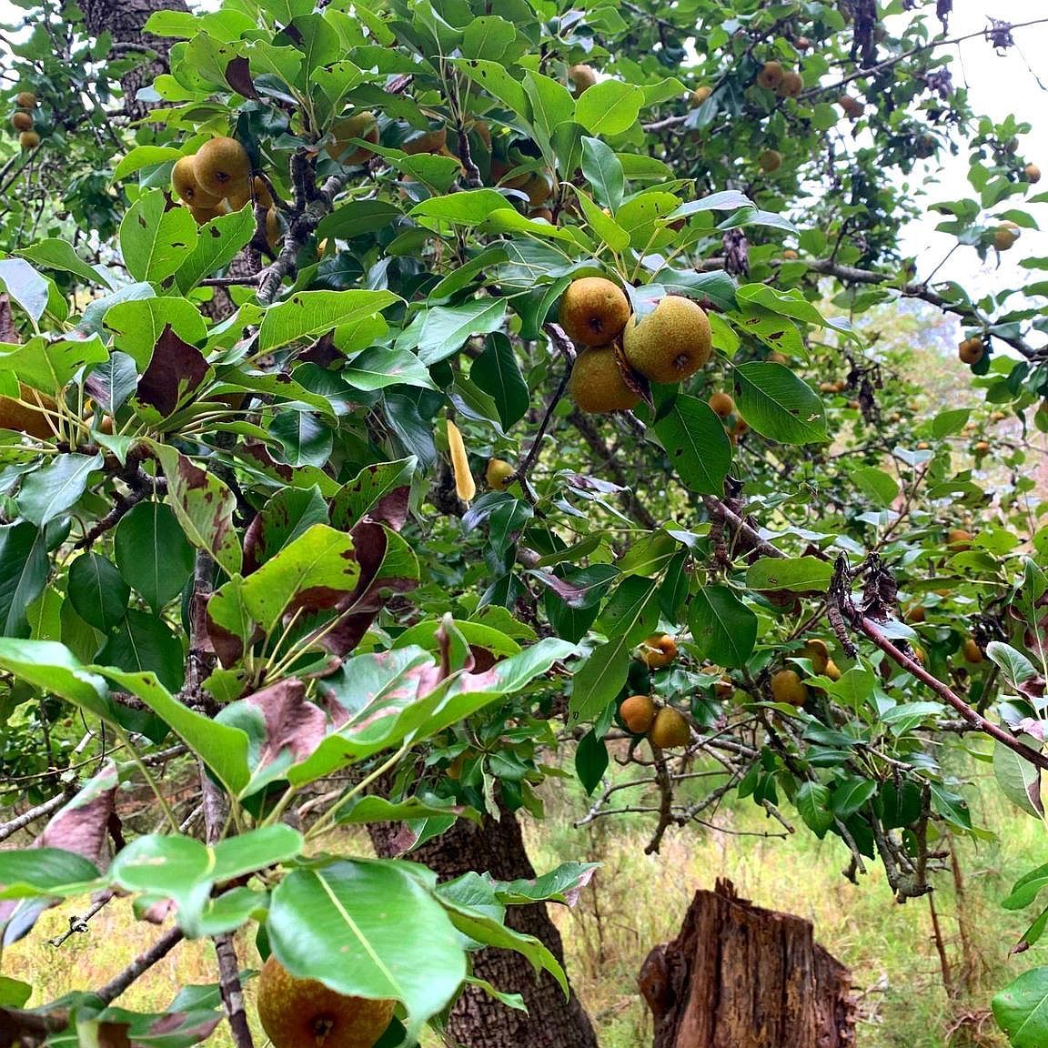 1907 Bishops Head Rd Toddville, MD 21672 - Thumbnail 4