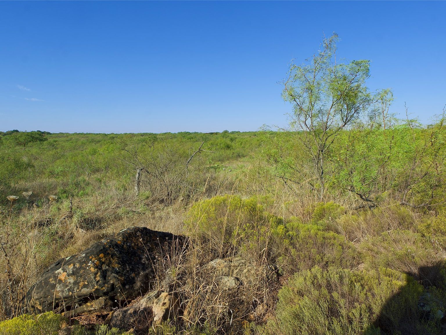 N Highway 81 Ringgold, TX 76261 - Thumbnail 4