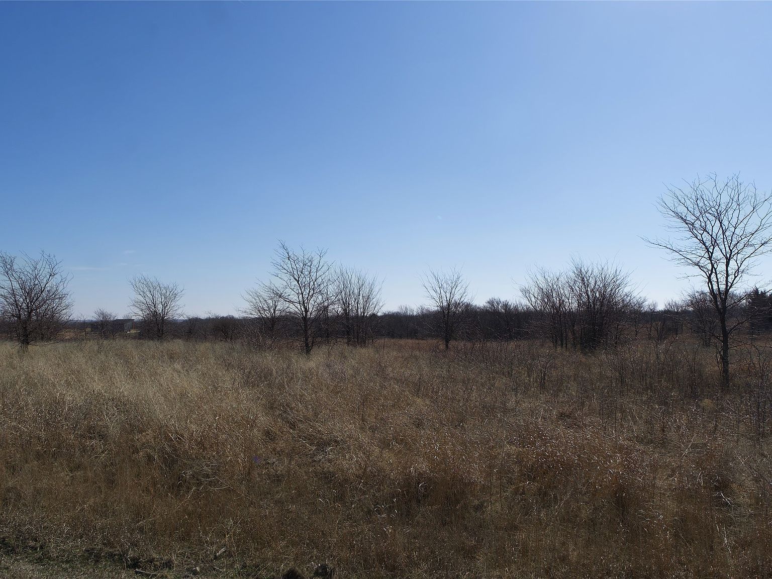 Township Road 40 Willow Ct Saint Jo, TX 76265  | Land/Lot